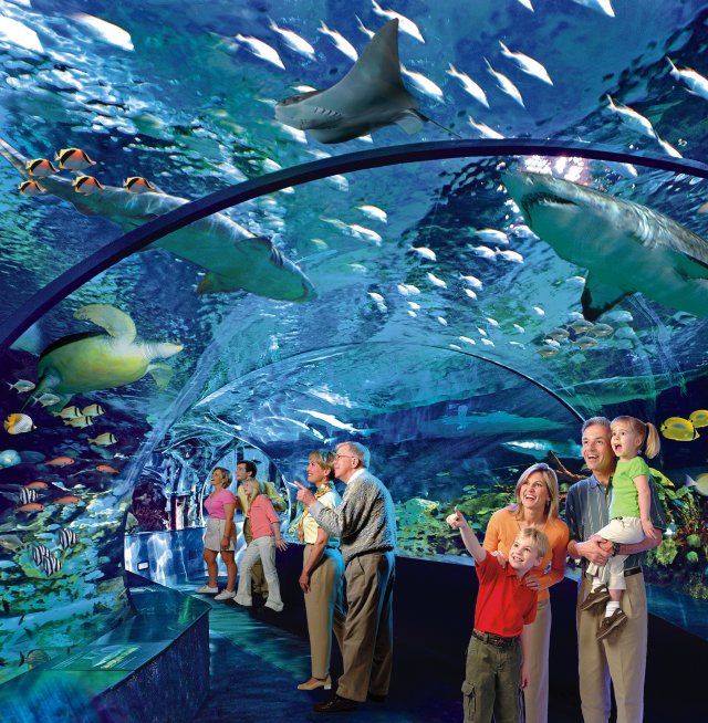 Visitor's Guide to Ripleys Aquarium of Canada in Toronto